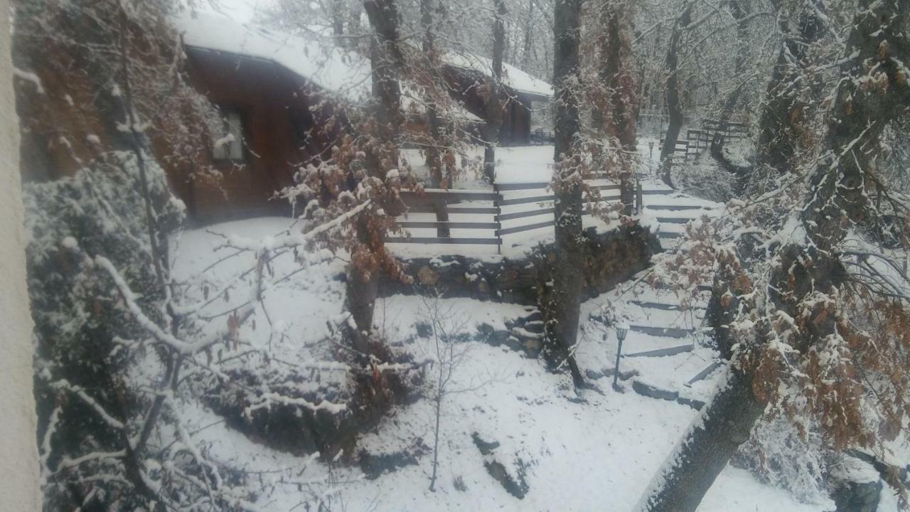 La Albarina Guest House Galende Exterior foto